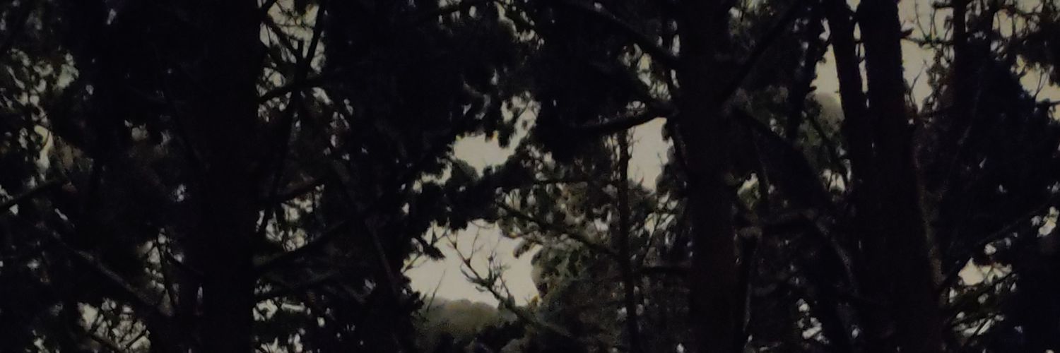 MissMarinne's profile banner image