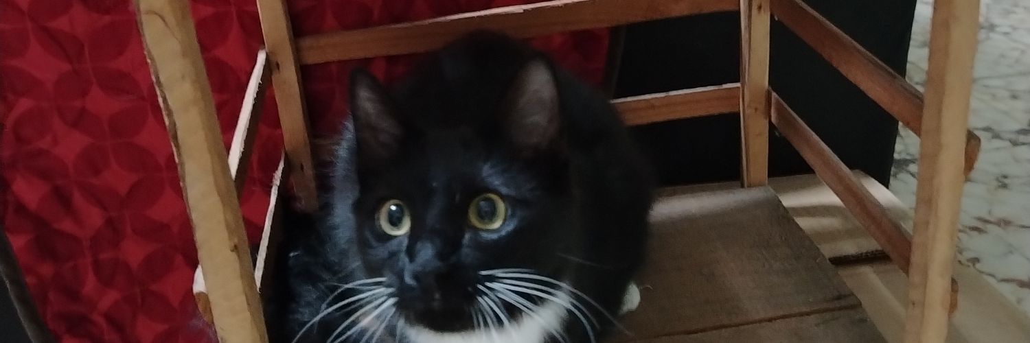 ximnaallons's profile banner image