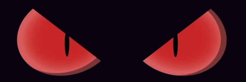 StePHen Kelly banner