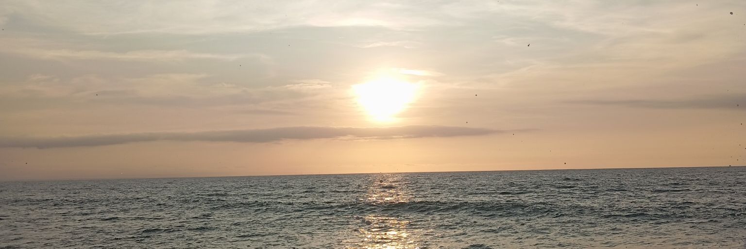 Te9033's profile banner image