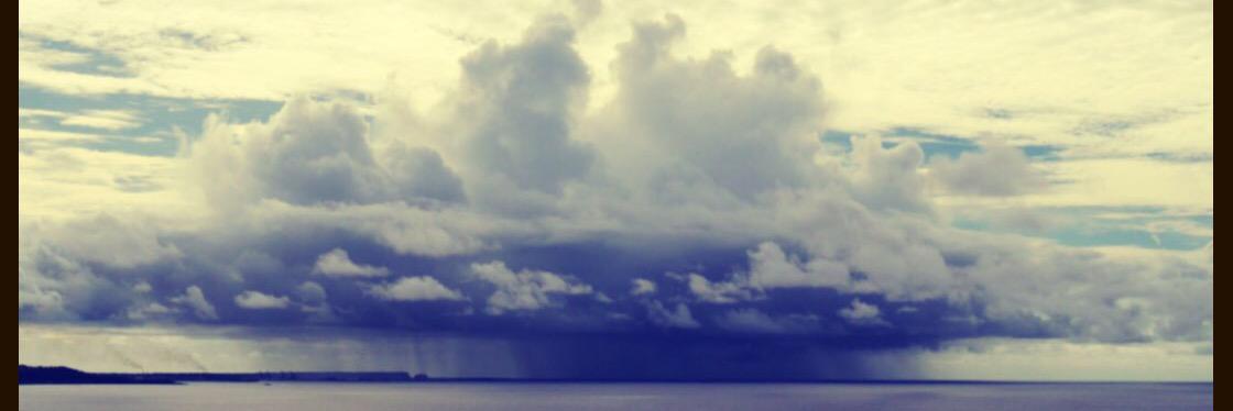 niri_phi2's profile banner image