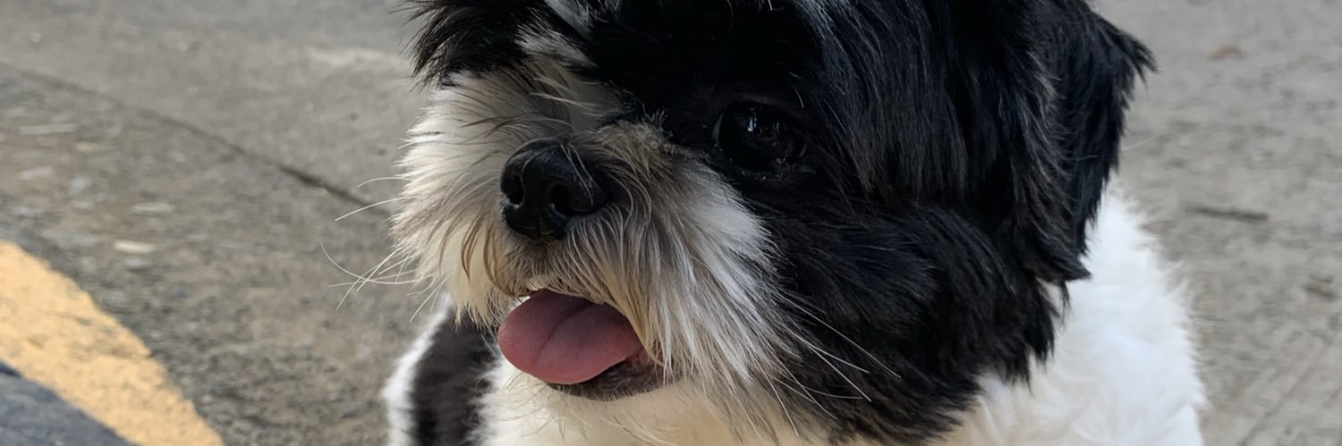 bangsVani's profile banner image