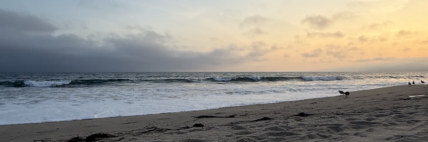 Dawn :) banner