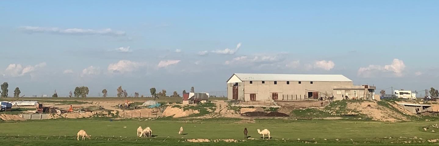 llbushra's profile banner image