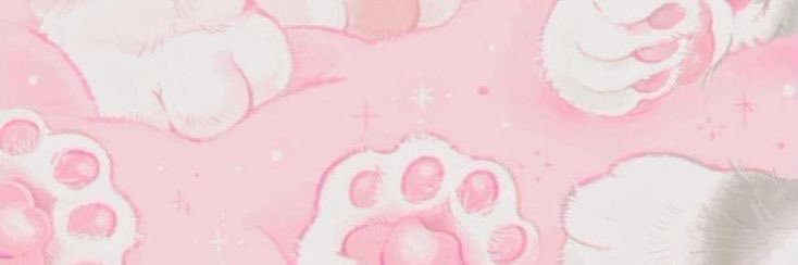 ปิ่นโตวววววววว🐻✨ banner