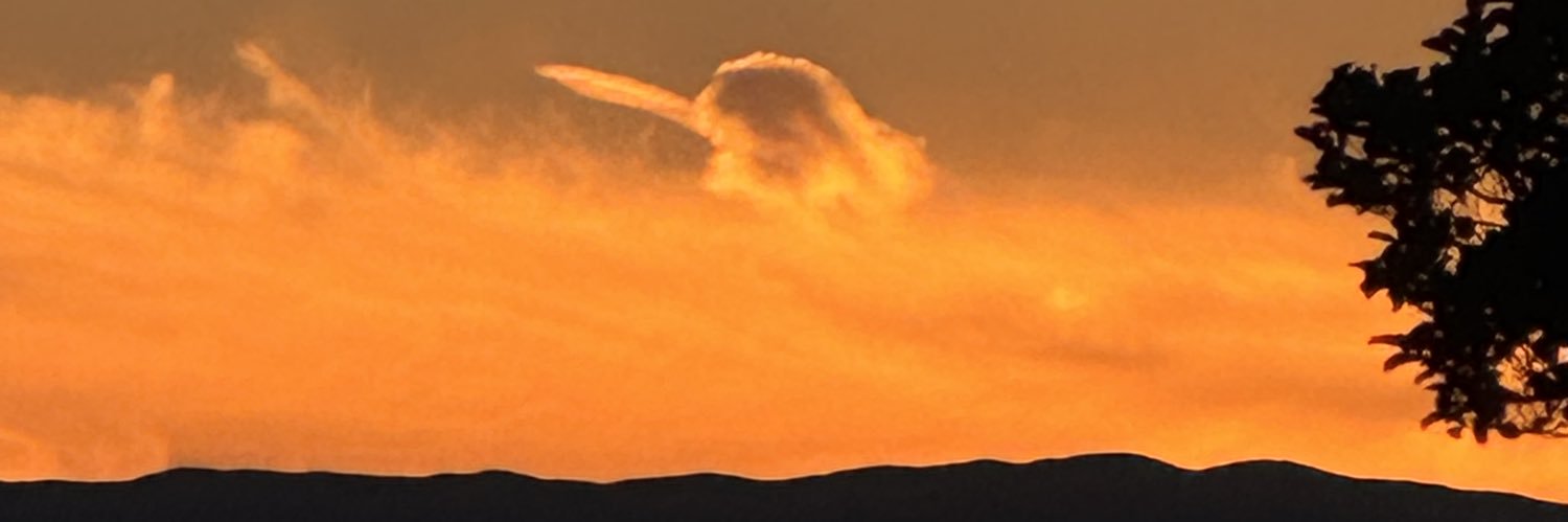 wickedyetdivine's profile banner image