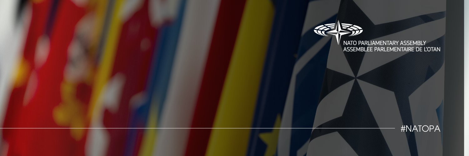 NATO PA / AP-OTAN's banner