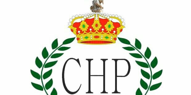 chachipandi's profile banner image