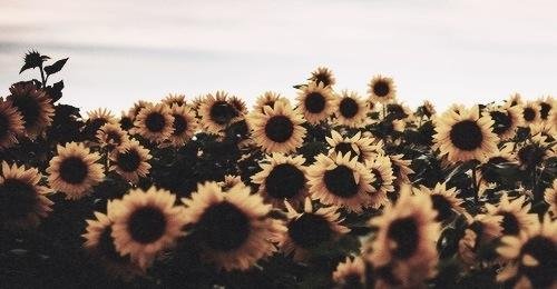 MarikeLxx's profile banner image