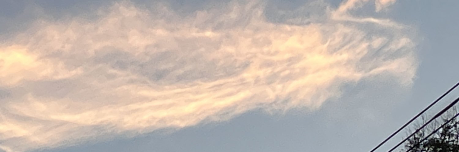 1017Why's profile banner image