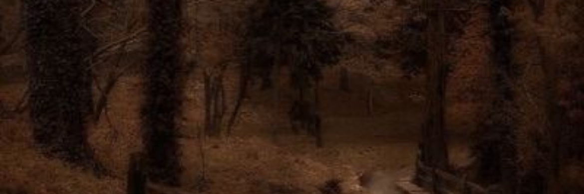 LizzieeBlack's profile banner image