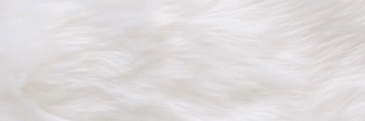 🐰ྀི banner