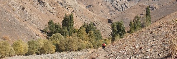 payman Profile Banner