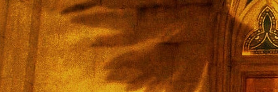 oli 🐦‍⬛ banner