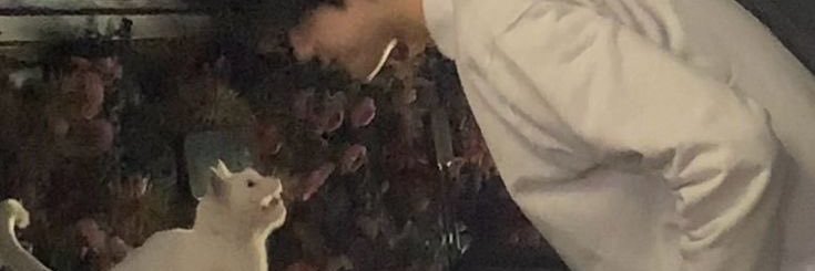 z banner