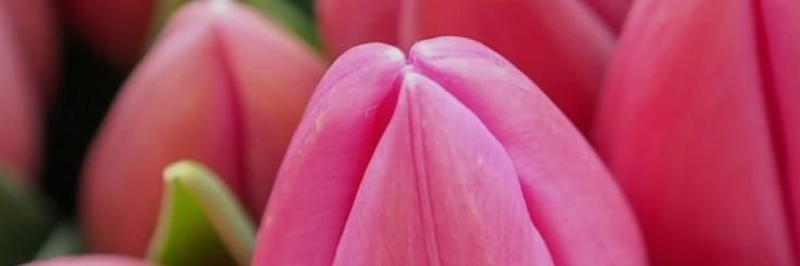 nageahamed's profile banner image