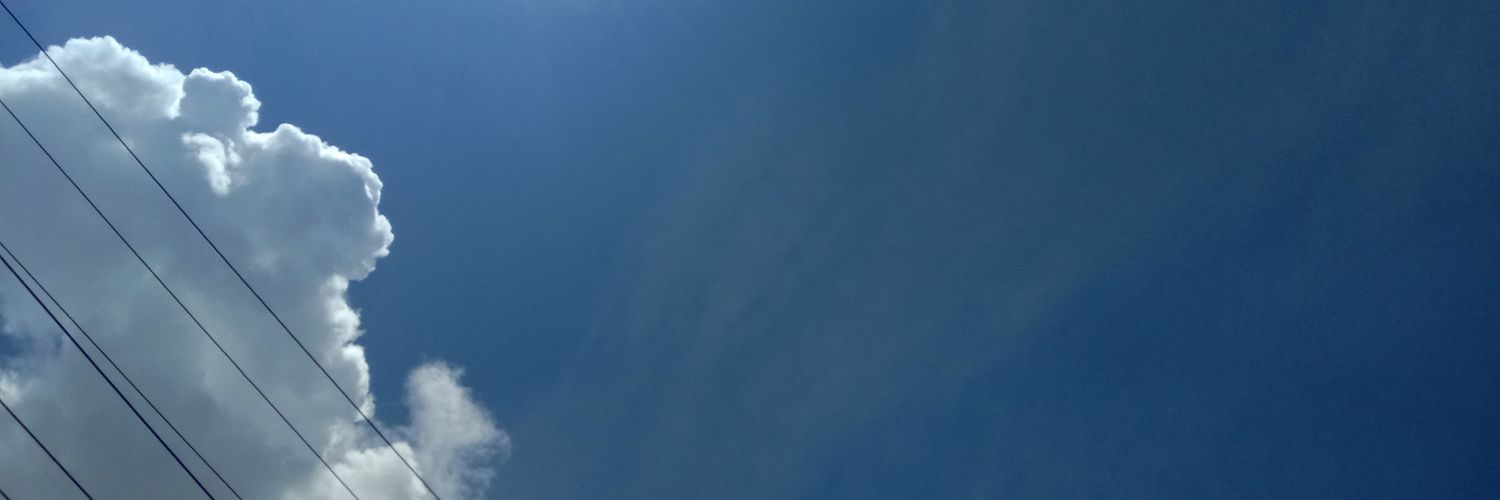 asf banner