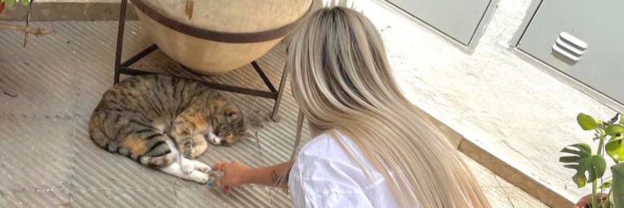 belenonate_'s profile banner image
