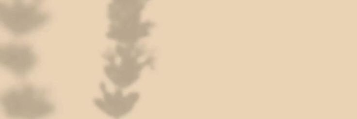 agucaceres_'s profile banner image