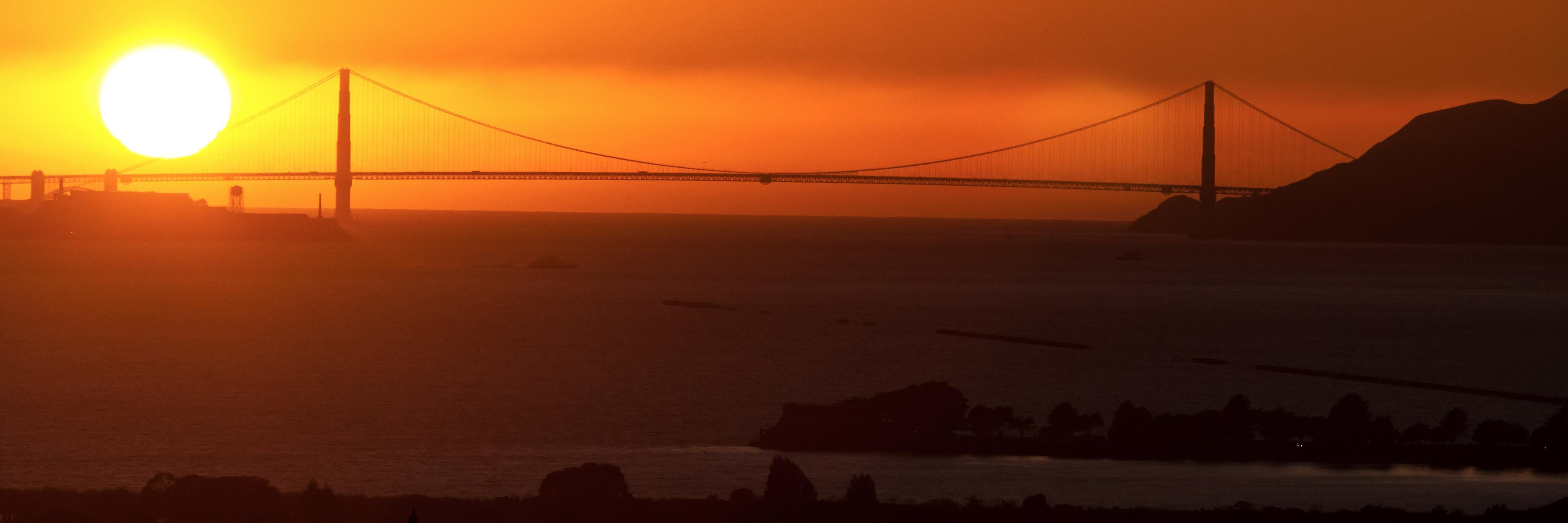 Prayag Narula banner