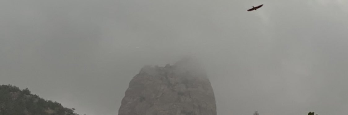 iiiAN8's profile banner image