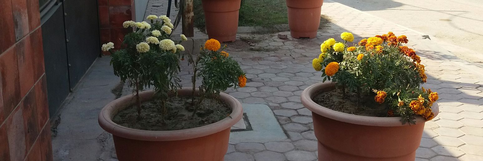 ایوان بیدار banner