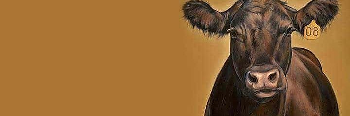 MarissaS113's profile banner image