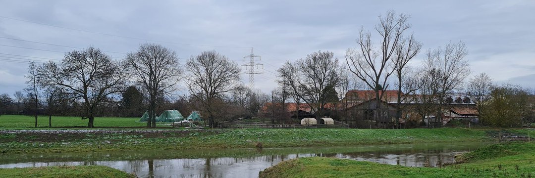 ChatDD 🤖 ռ 😼 🌸🌱🪻⚘️🌿 banner