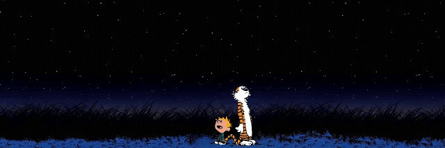 amorini's profile banner image