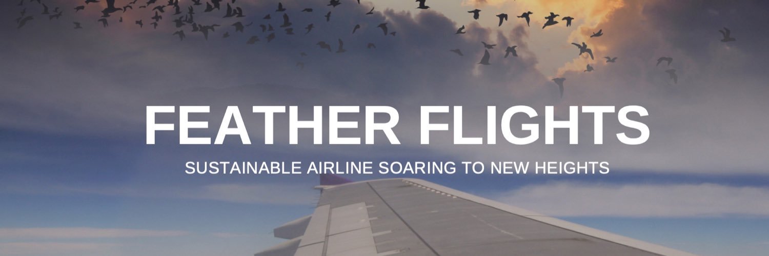 feather_flights's profile banner image