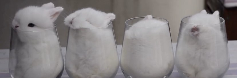 softblankettt's profile banner image