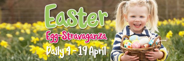 Adventure_V Profile Banner