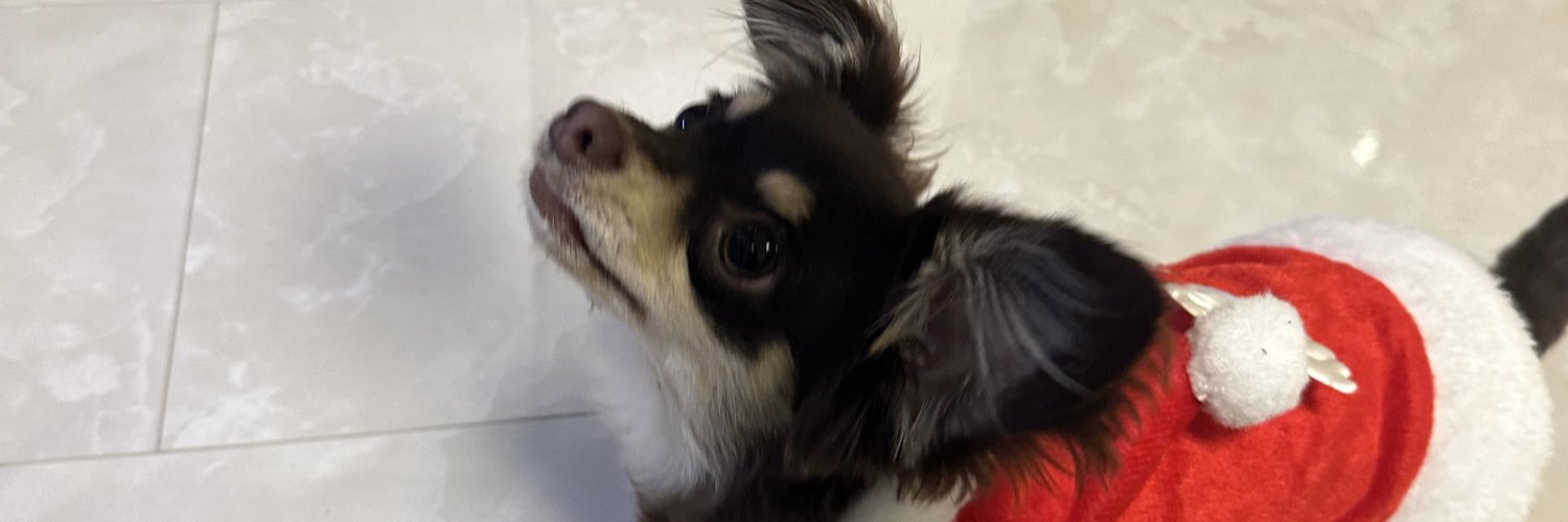 ta_sht's profile banner image