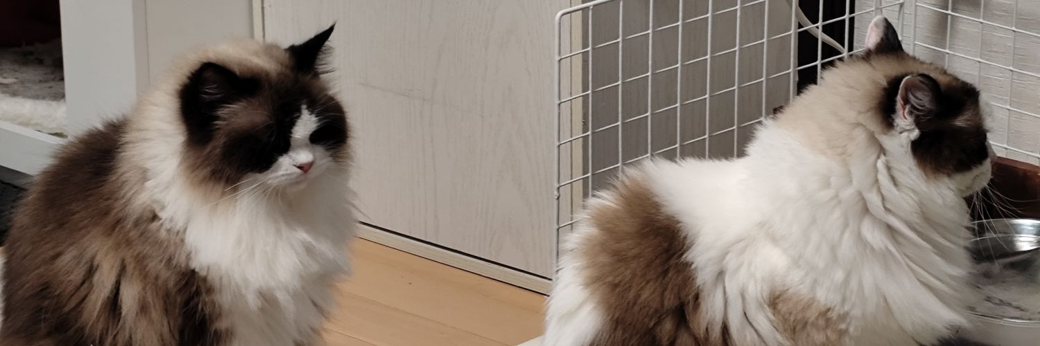 gnarkata's profile banner image