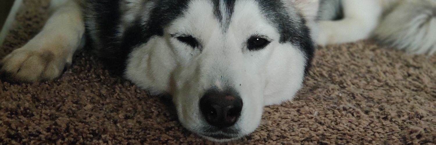 JimJim banner