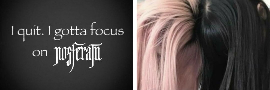 dollbrainz's profile banner image