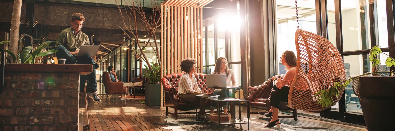 Bird Office by Kactus banner