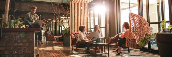 Bird_Office Profile Banner