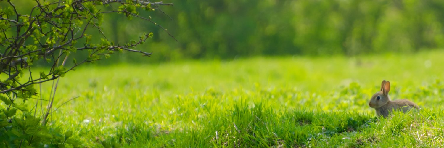 💎 OneOver2Pi 💎 banner