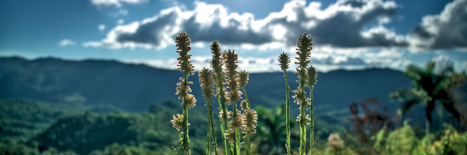 RogerTM 🖤🇨🇺 banner