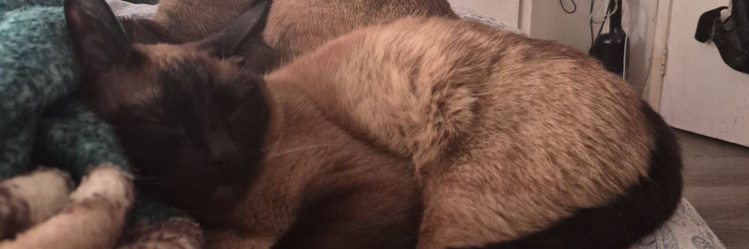 approvaled_'s profile banner image