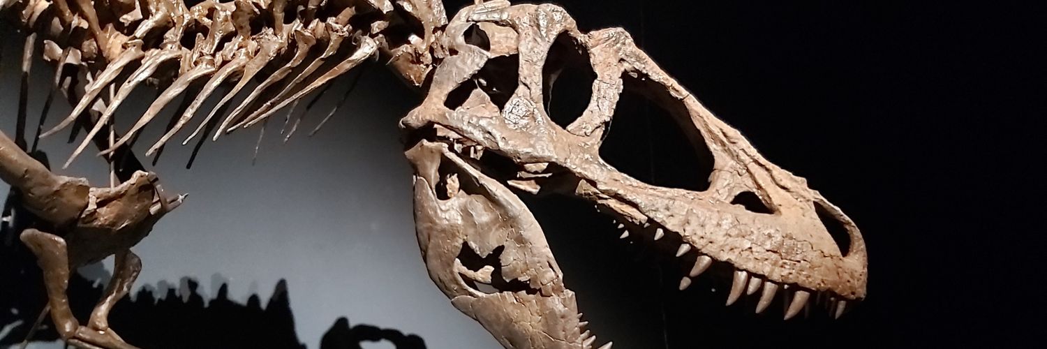 Dino the wee green dude banner