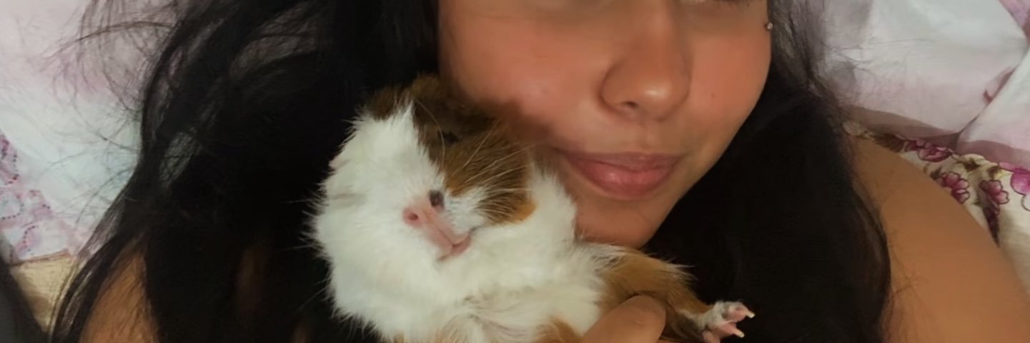 vsfjulinhaaa's profile banner image