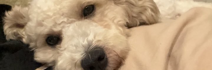 cosgogogo's profile banner image