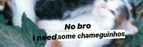 FernandaAris2's profile banner image