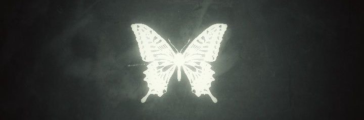 Lanneyol's profile banner image