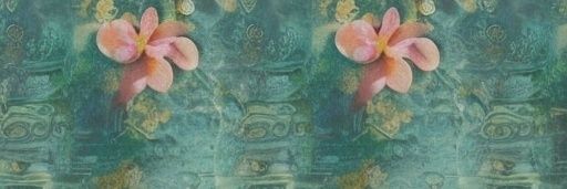 pakasi's profile banner image