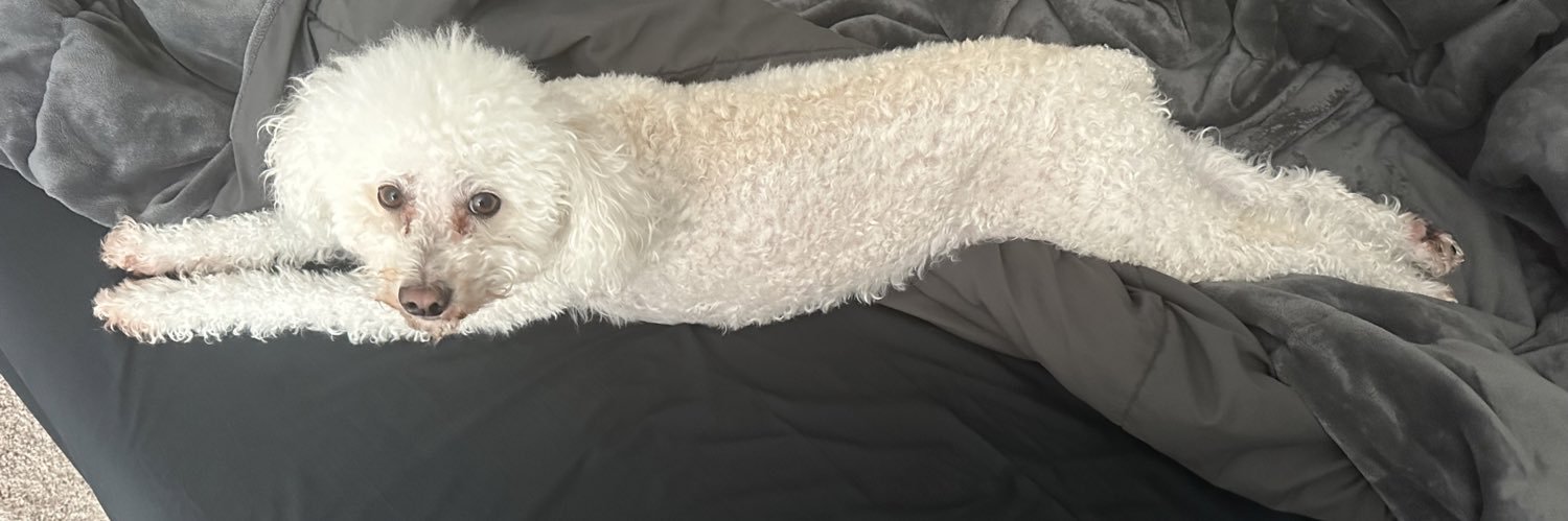 PoodleBoyLoki's profile banner image