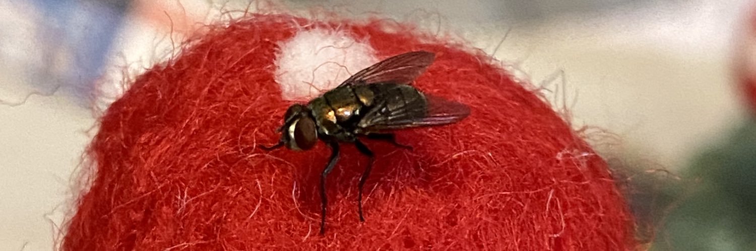 𝔣𝔞𝔯𝔱𝔰 ♡ banner