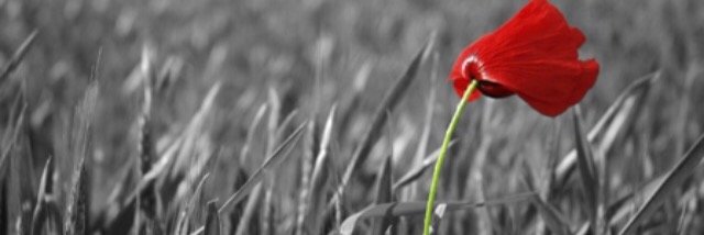 RCLBr138's profile banner image